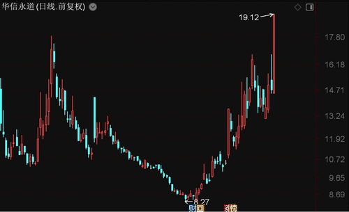 北證50指數(shù)強(qiáng)勢(shì)上揚(yáng)，華信永道、聯(lián)迪信息領(lǐng)漲，信息系統(tǒng)集成服務(wù)板塊表現(xiàn)亮眼